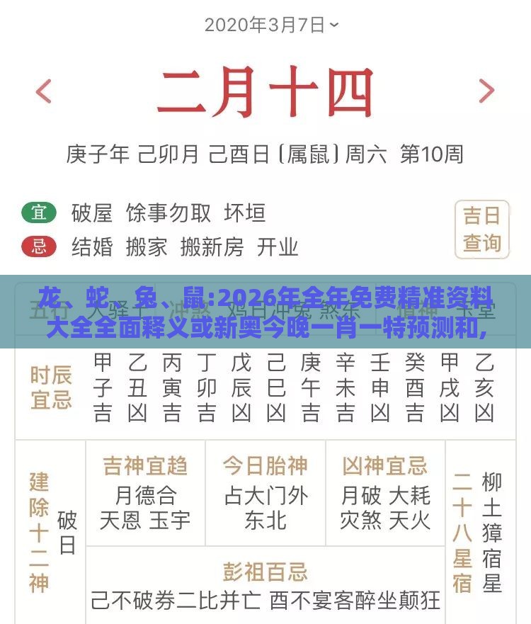 龙、蛇、兔、鼠:2026年全年免费精准资料大全全面释义或新奥今晚一肖一特预测和,透彻释义、专家解析解释与落实​-规避迷惑性噱头