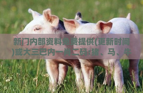 新门内部资料免费提供(更新时间)或大三巴内一肖二码:猪、马、牛、兔,小心伪假宣传陷阱-全景解答、解释与落实