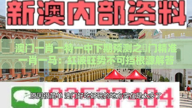 澳门一肖一特一中下期预测之澚门精准一肖一马：红波旺势不可挡根源解答、解释与落实,防范迷惑性推广
