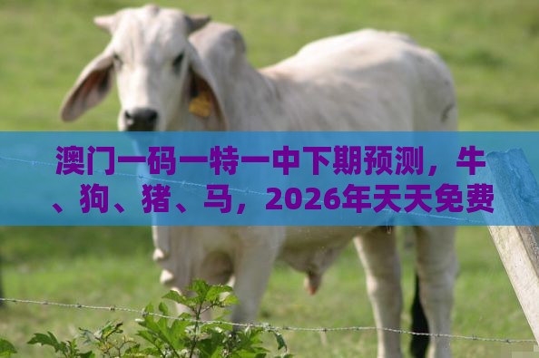 澳门一码一特一中下期预测，牛、狗、猪、马，2026年天天免费资料百度和防范广告的误导,预防解答、专家解读解释与落实​